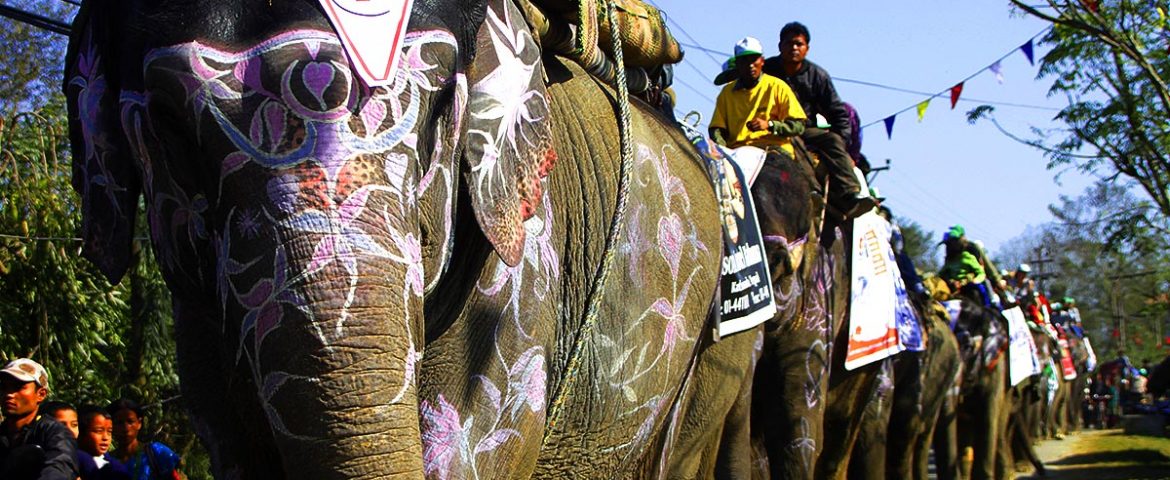 Chitwan Nepal