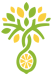 The Lemon Tree Villa