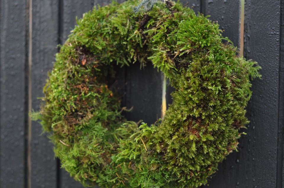 Christmas moss wreath