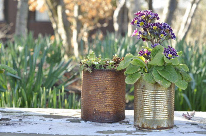 Konservesdåser med forårsblomster