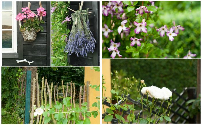 Blomster og kreative indslag i den lille have