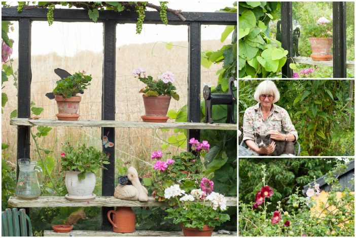 En collage fra haven med Lene Christensen og hendes katte