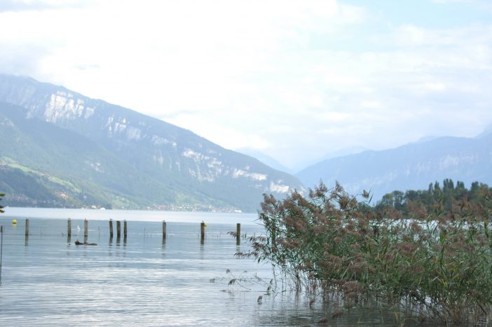 Thunersee med bjergene i baggrunden