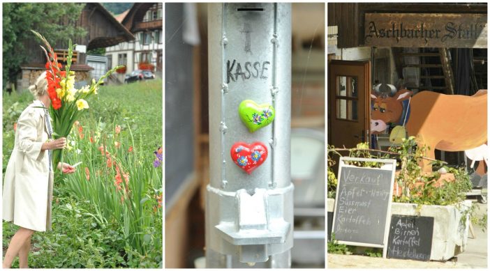 Gårdbutik og pluk selv blomster