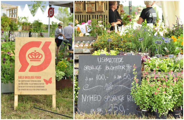 Økologi og bæredygtighed på Cph Garden 2019