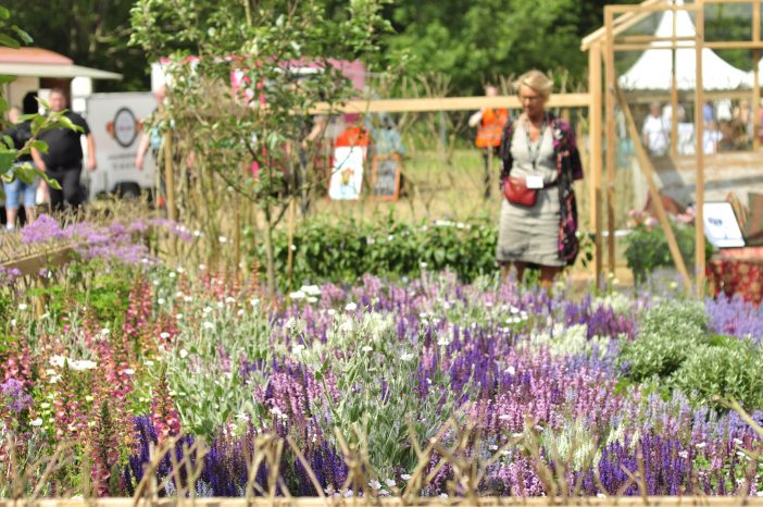 Insektvenlig have på Cph Garden 2019