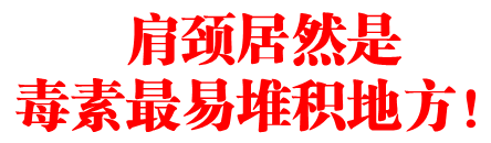 肩颈居然是毒素最易堆积地方！快看该怎麽排毒！！