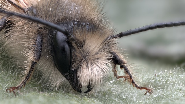 Wildbienenhotel