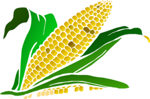 couscous vegan