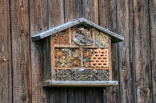 wildbienenhotel selber bauen