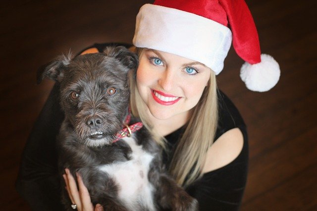 Hunde Adventskalender mit Leckerlies