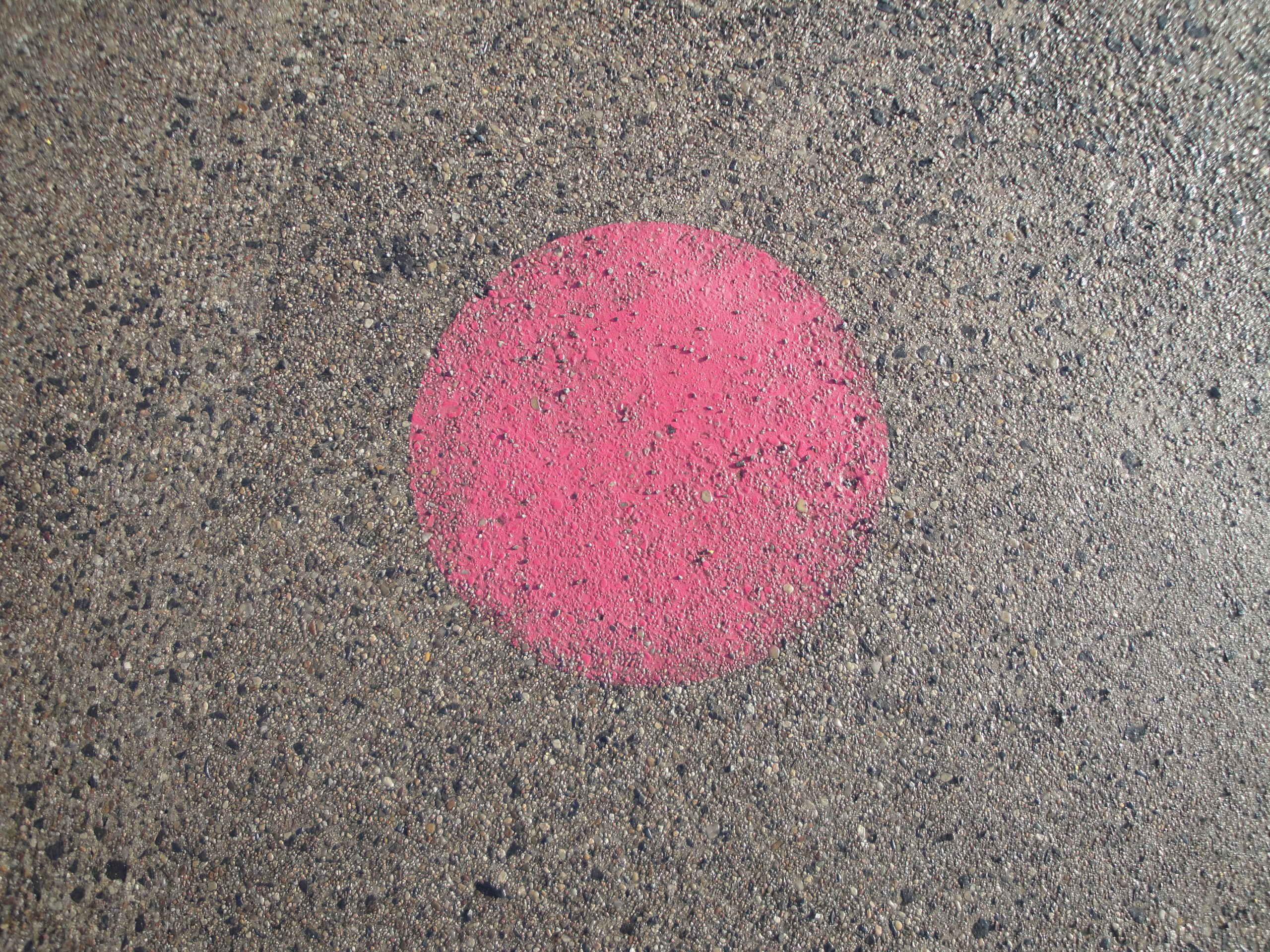[01] – Exhibition – TMML – image 2.1