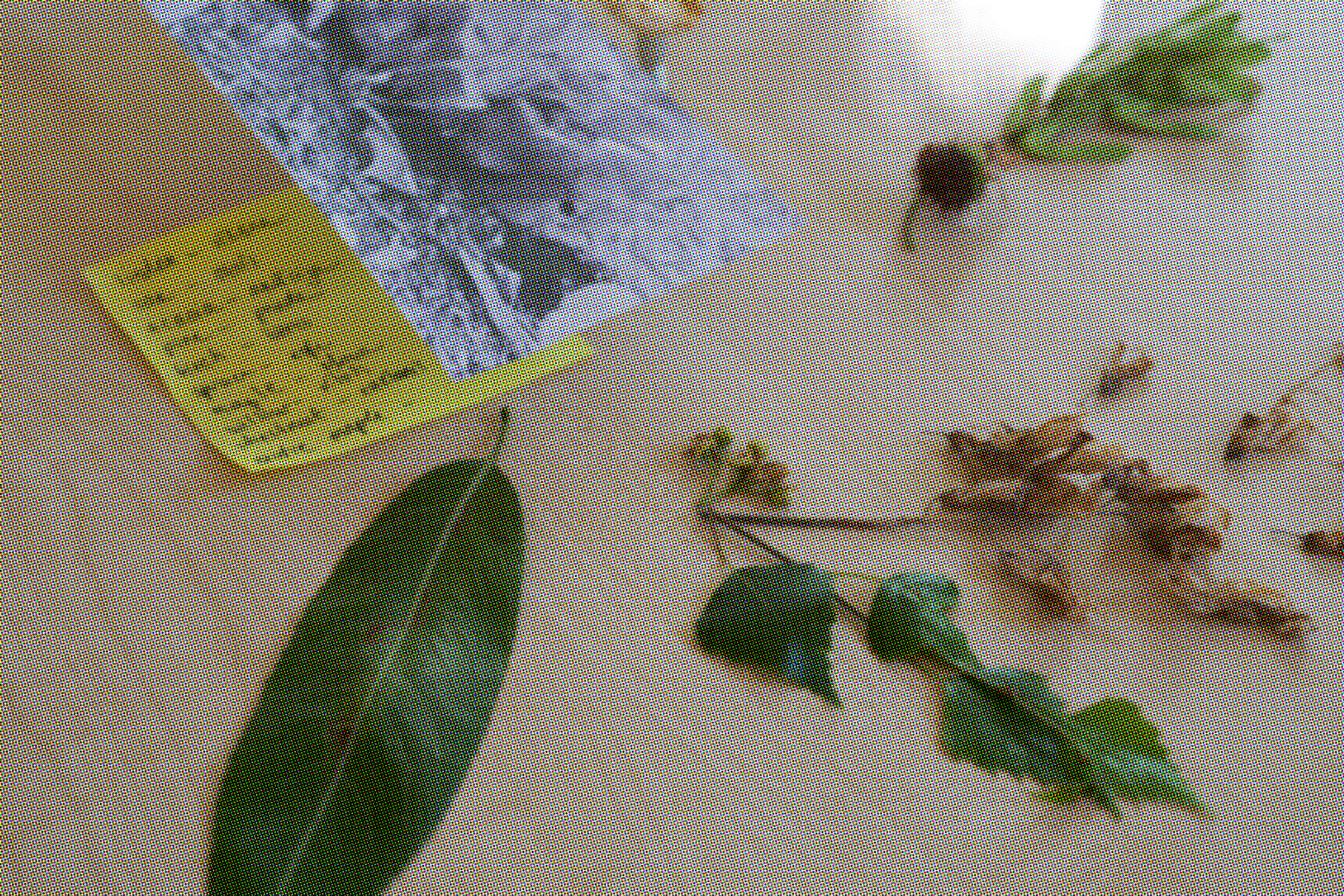 [26] – Workshop – Residue Notes from Purvciems – 24