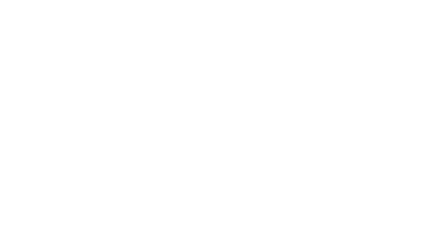 skuespillerforbund The Nordic Film Acting Institute partner