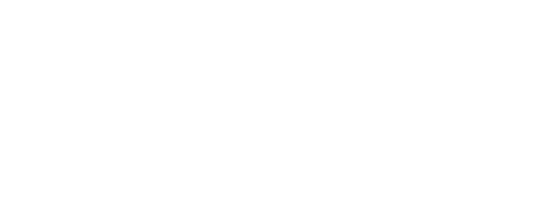 saee The Nordic Film Acting Institute partner