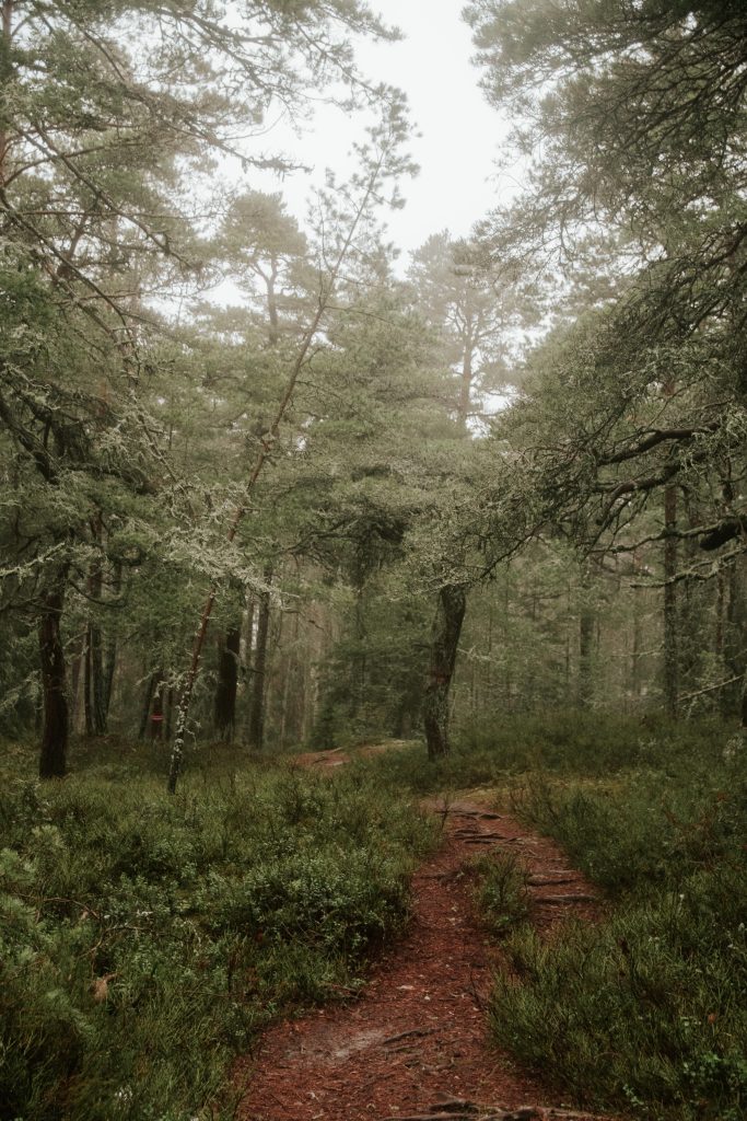 hiking