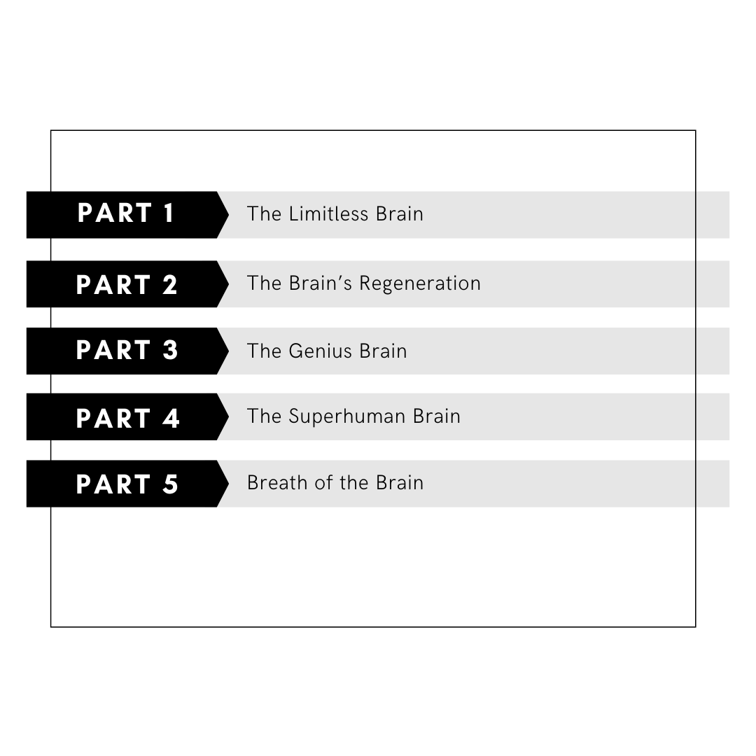 NeroAlchemy Curriculum I The NOW