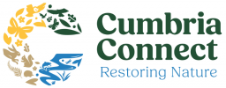 cumbria connect new