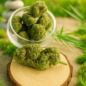 Pack découverte 5 variétés de 3g