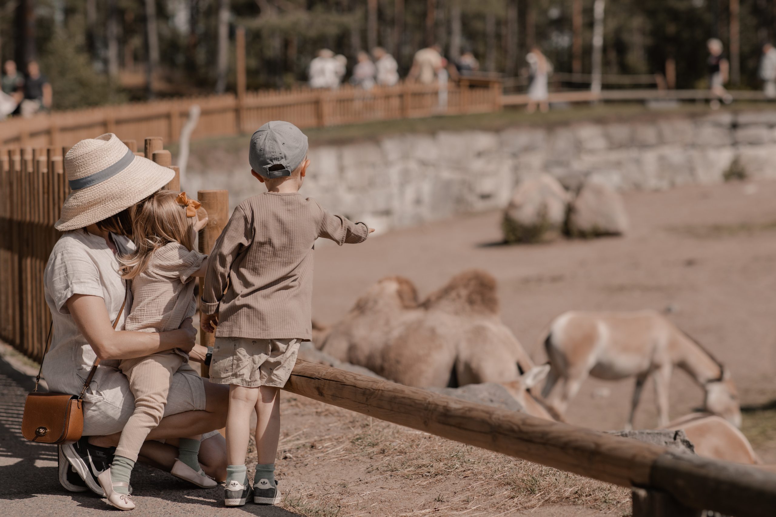 Kolmårdens djurpark