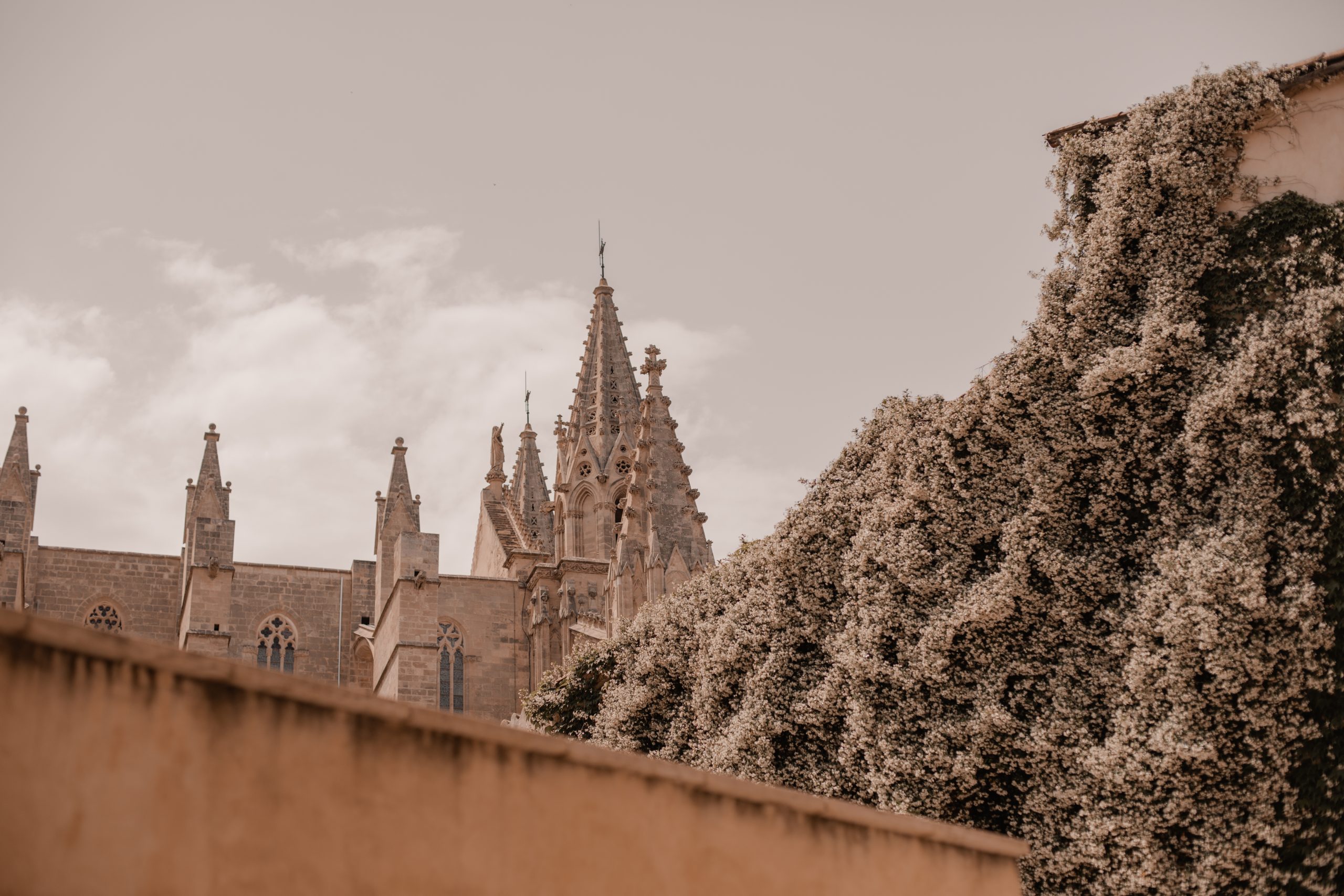 Catedral de Mallorca