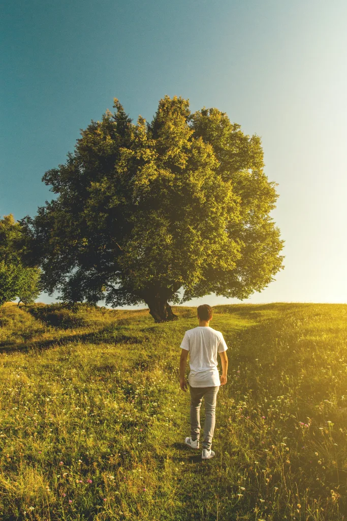 man walking in a beautiful green scenery with sunrise