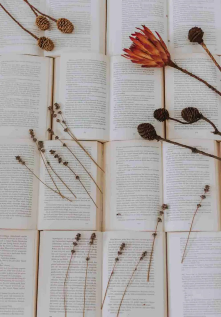 Open books with flowers showcasing best books 2024. Free to use image from Pexels.