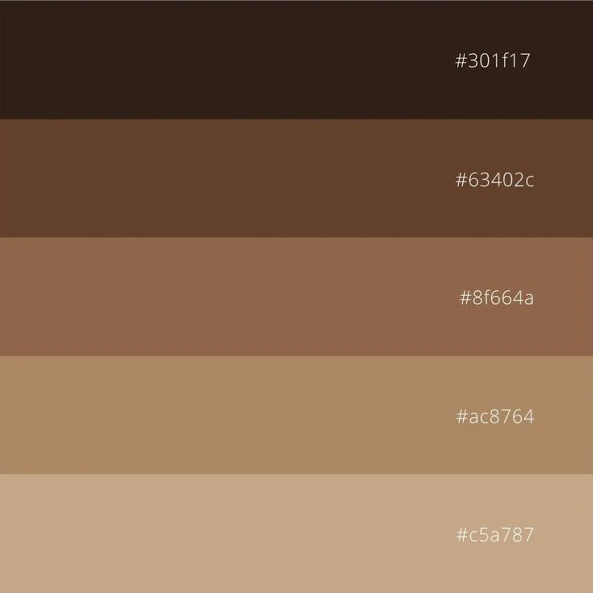 Colour palette showing espresso colours