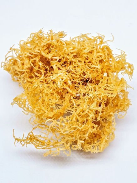 raw sea moss