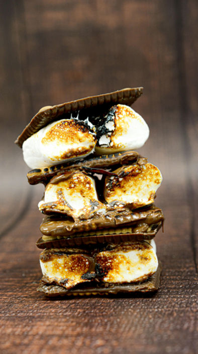 roasted s'mores