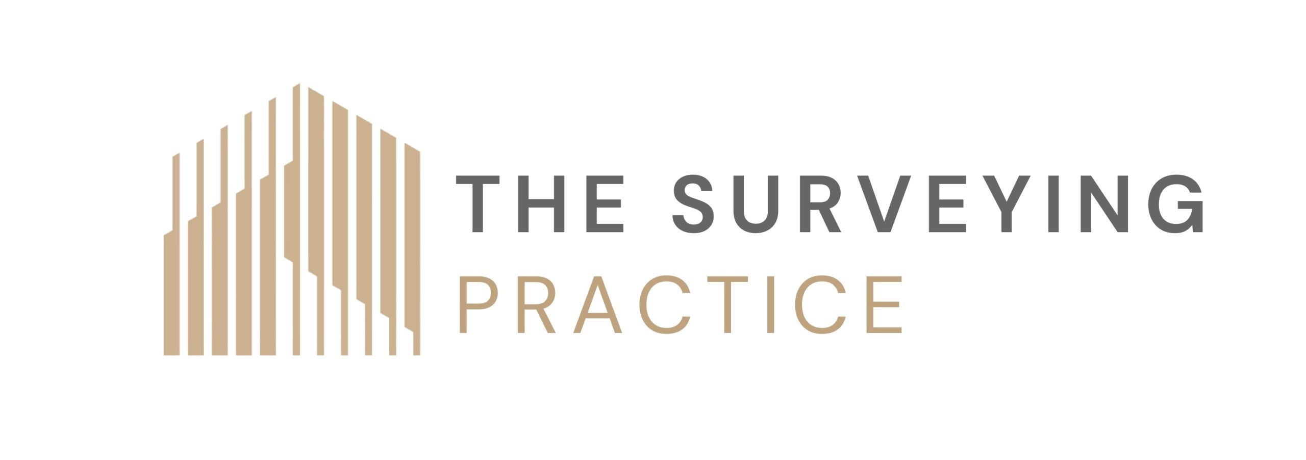 THE SURVEYING PRACTICE LIMITED logo