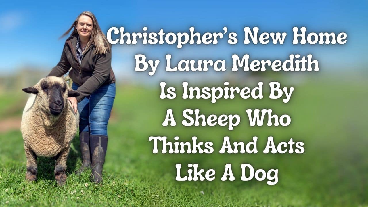 Christopher’s New Home By Laura Meredith Is Inspired By A Sheep Who Thinks And Acts Like A Dog