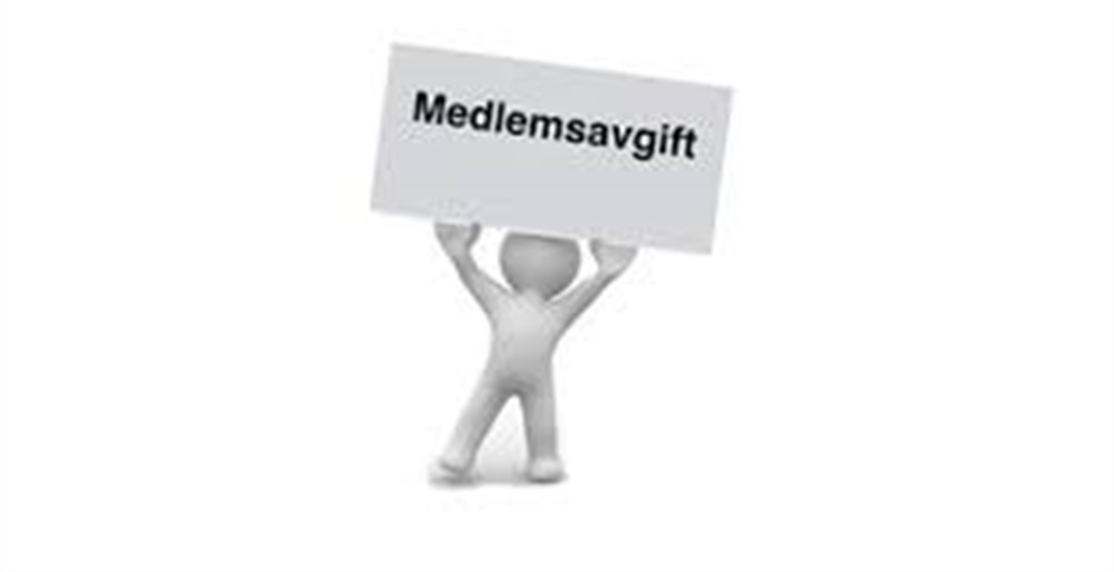 Medlemsavgift 2024