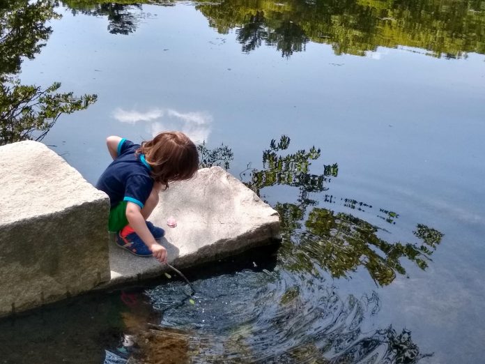 Back across the pond the village pregnancy, birth and beyond in Belgium