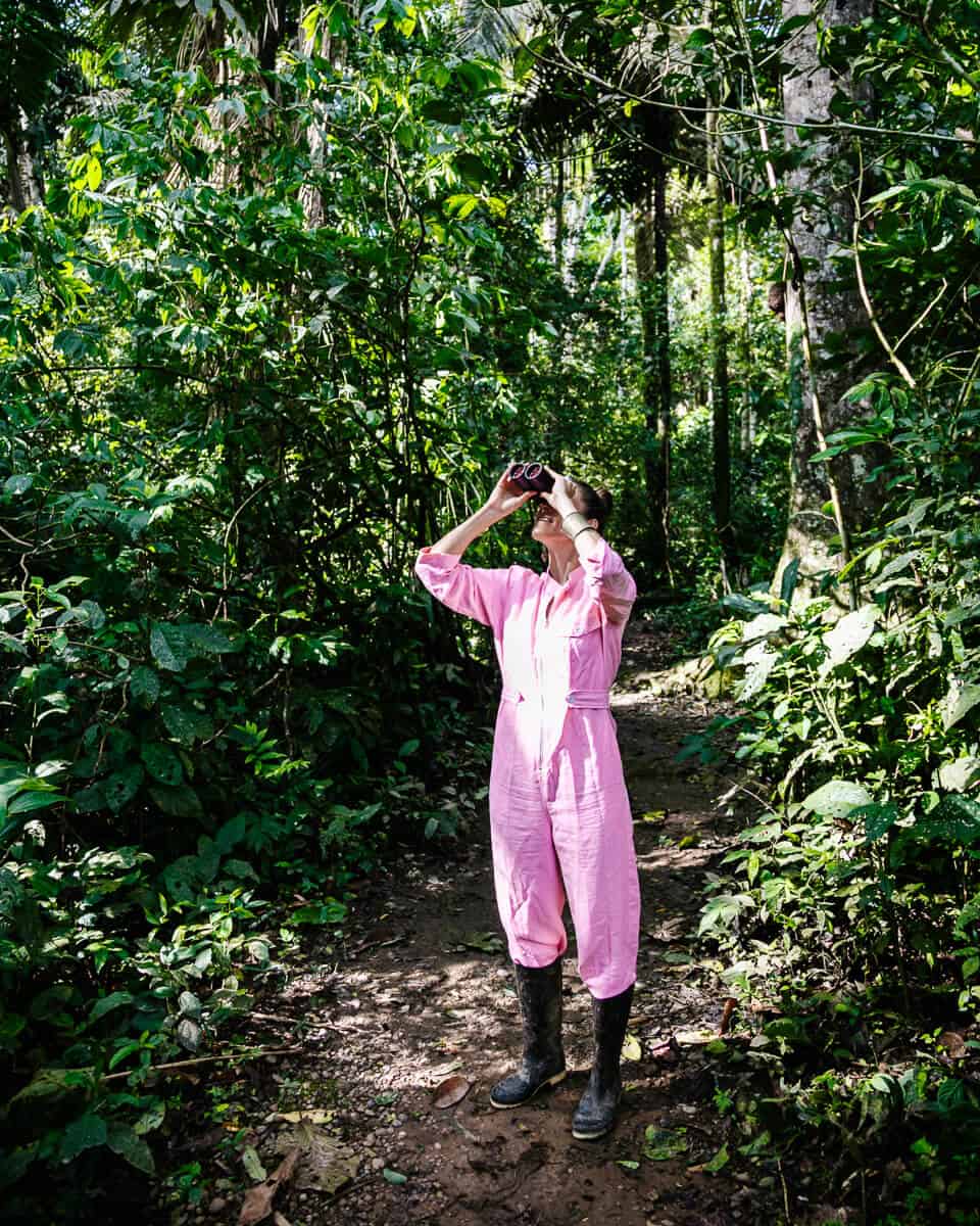 Deb20_jungle