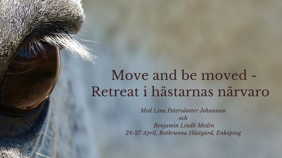 Move and be moved – Retreat i hästarnas närvaro