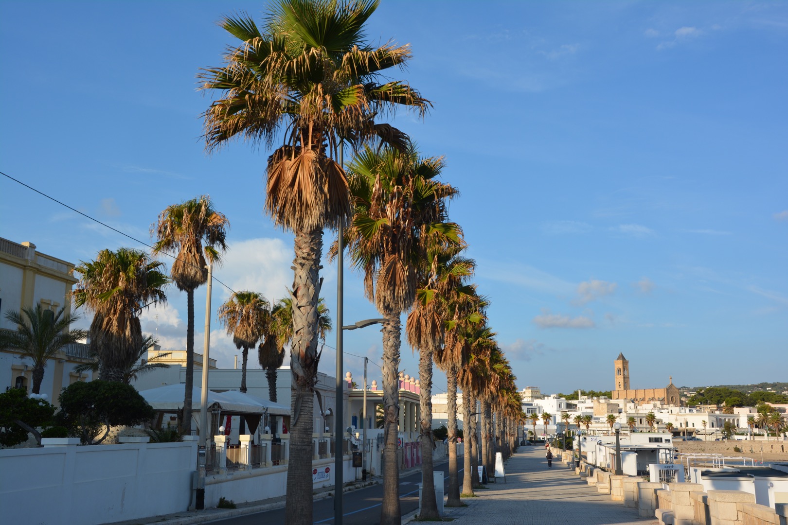 Leuca