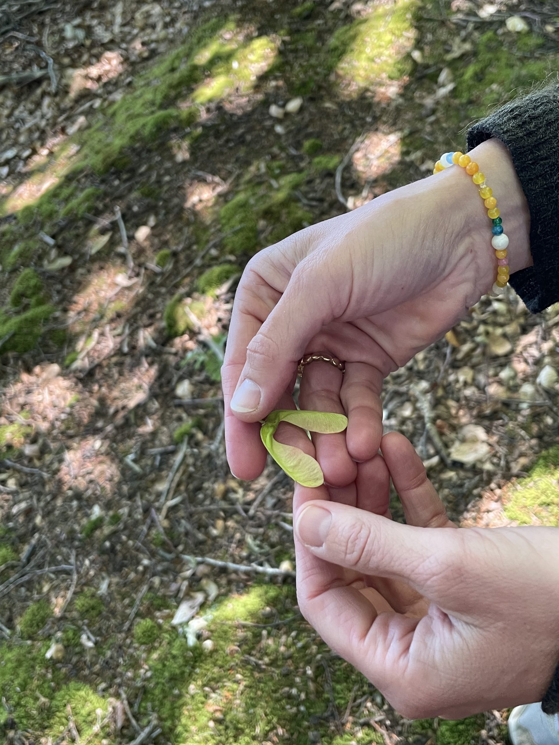 Thit Thorlacius naturterapi yin yoga dans bogcirkel Hellebæk Nordsjælland