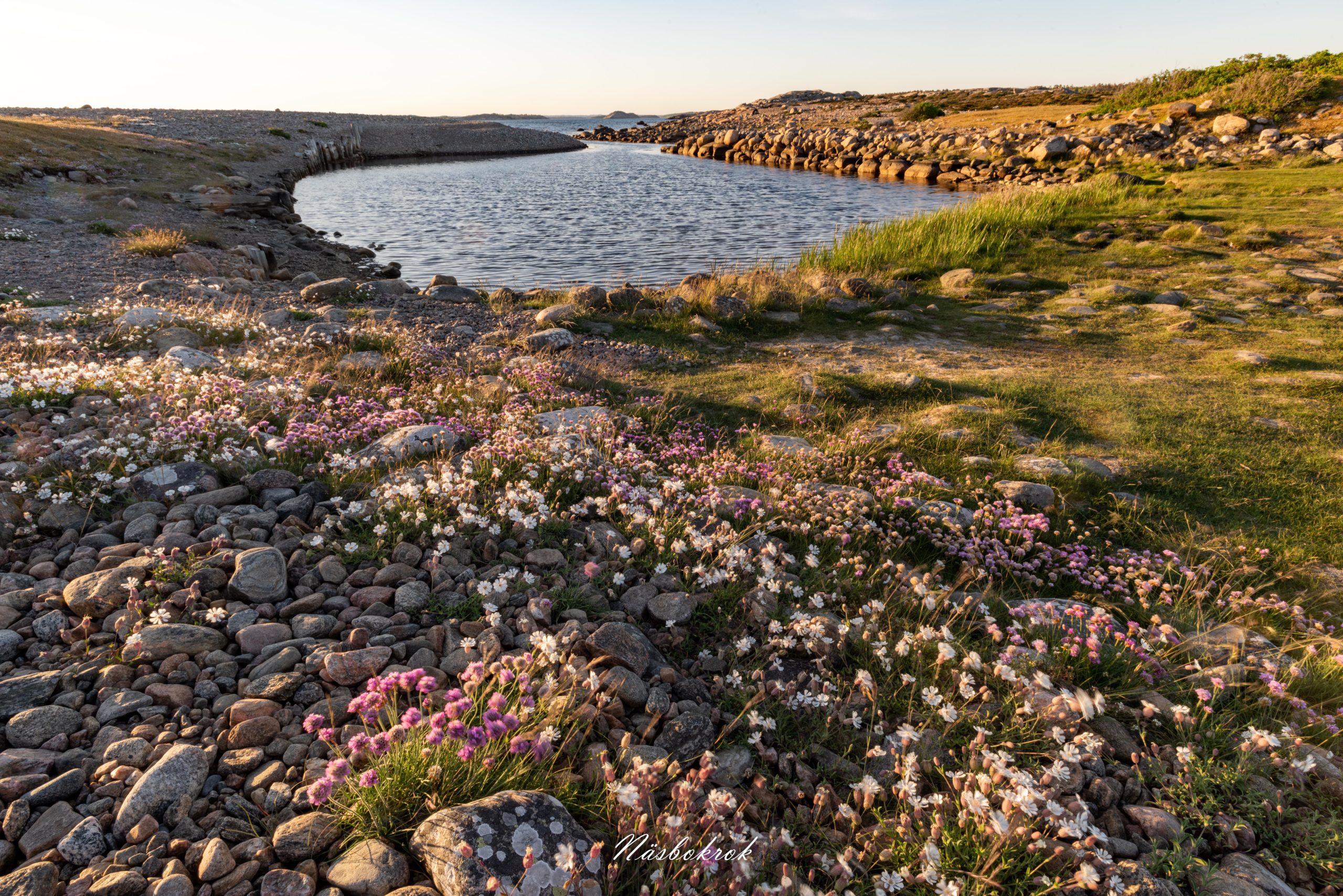 2020 Sommarbilder (100)