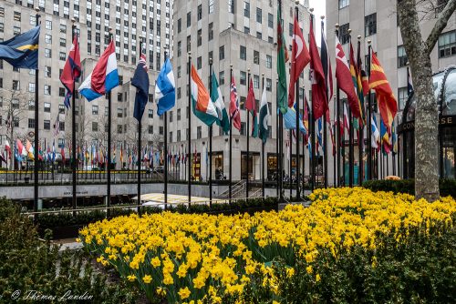 New York 2018 - Rockefeller Plaza