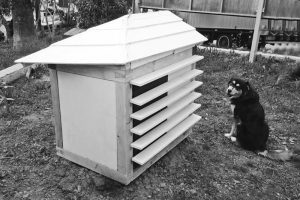 Environmental doghouse