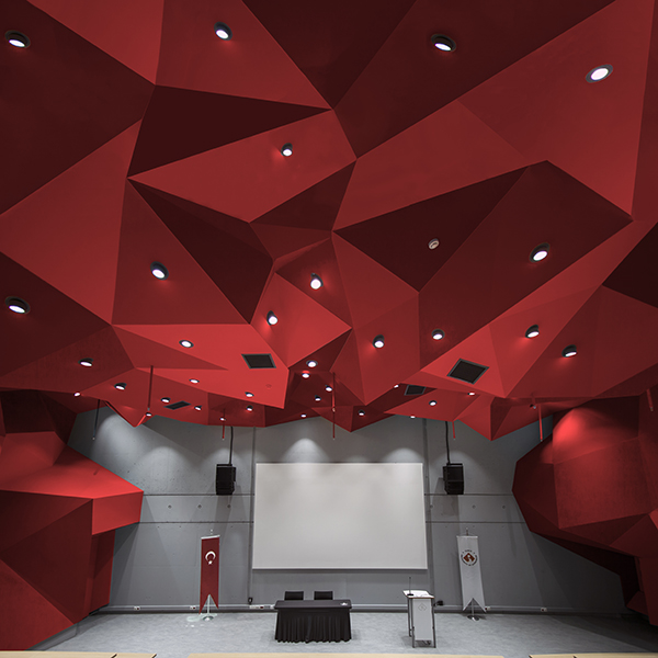 Parametric lecture theater