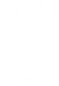 DTU Logo