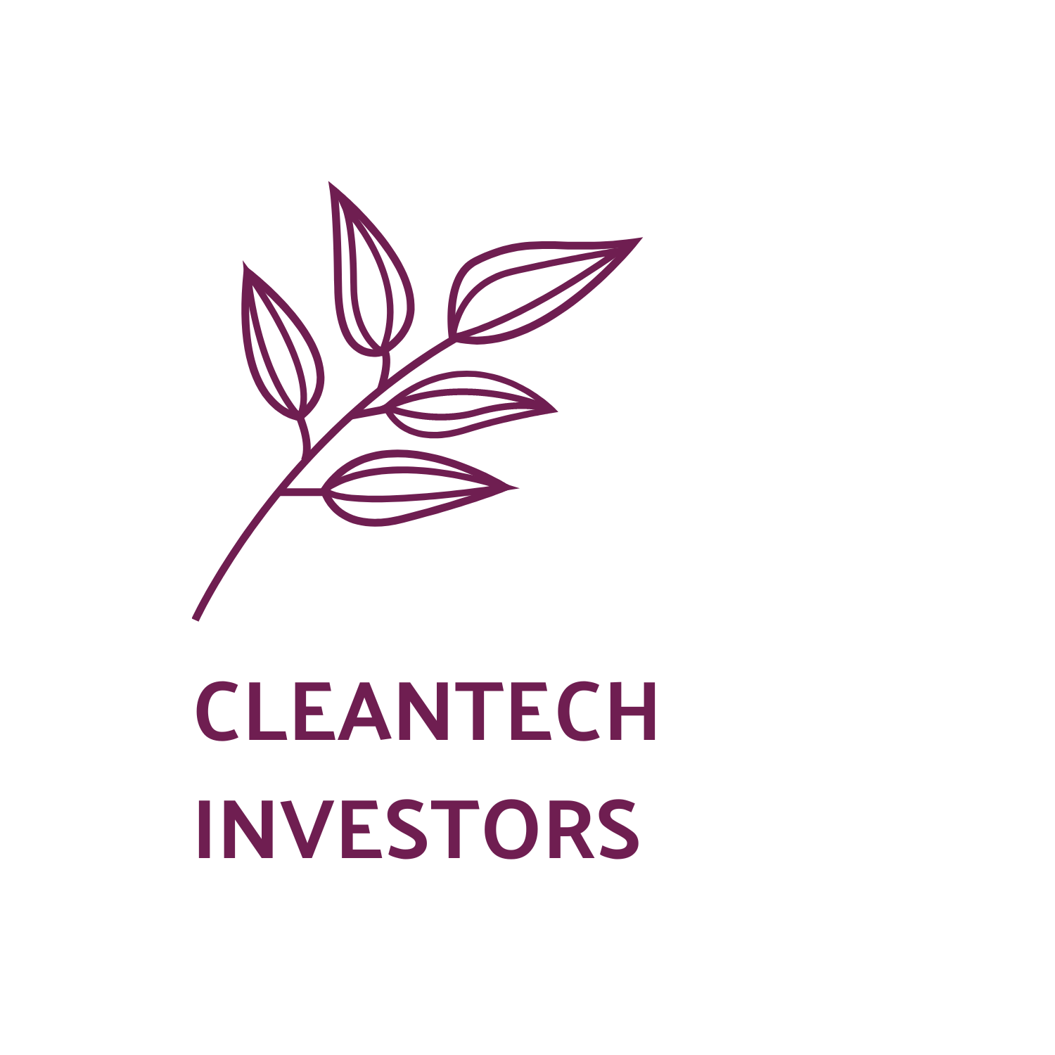 List of the 300 largest Cleantech Venture Capital Investors [Update 2024]