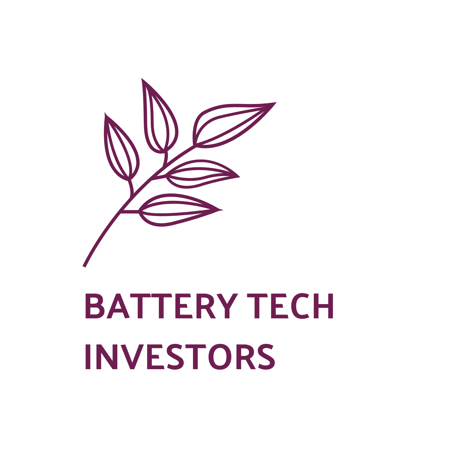 List of the 200 largest Battery Venture Capital Investors [Update 2024]