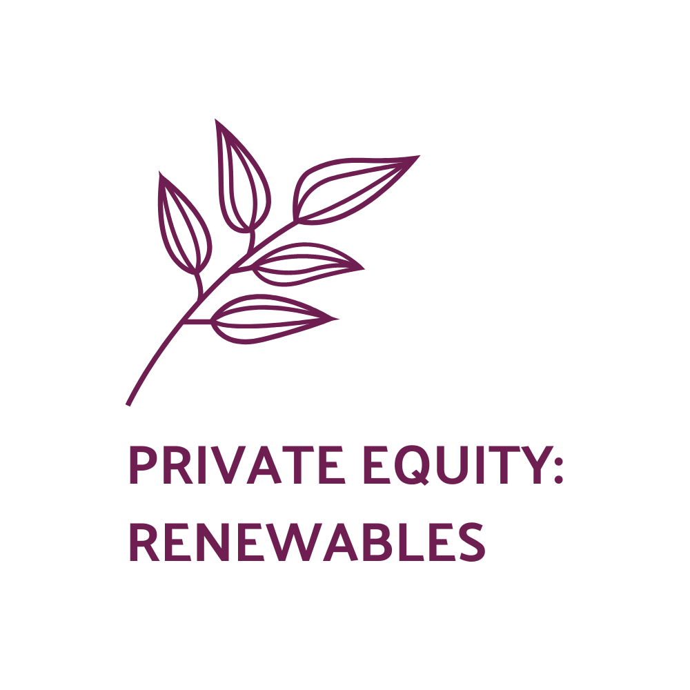 Renewables Private Equity Investors Europe