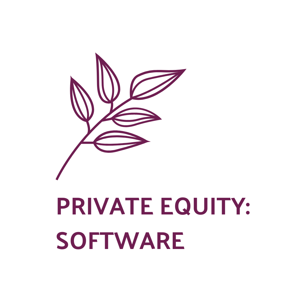 List of the 350 largest Software Private Equity Investors Europe [Update 2024]