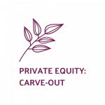 List of the 90 largest Carve-Out Private Equity Investors Europe [Update 2024]