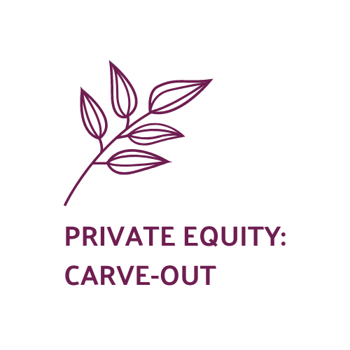 List of the 90 largest Carve-Out Private Equity Investors Europe [Update 2024]