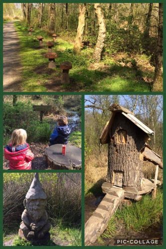 Wandelen in de Groote Peel (met Kabouterpad)